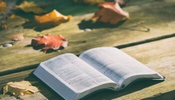 Por onde começar a ler a Bíblia para entender